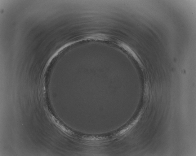 X0000081490923200701121506