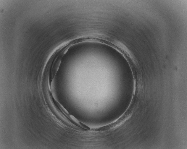 X0000081490924200701121506