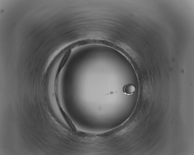 X0000081490926200701121506