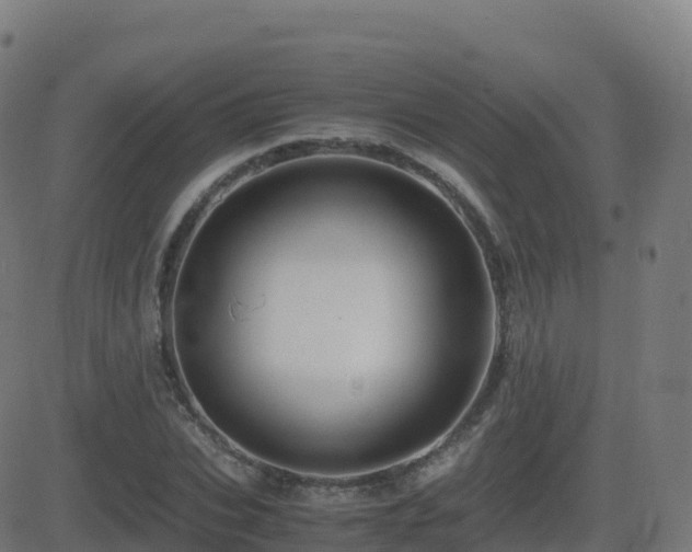 X0000081490927200701121506