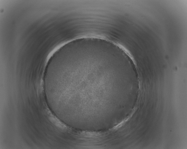 X0000081490928200701121506