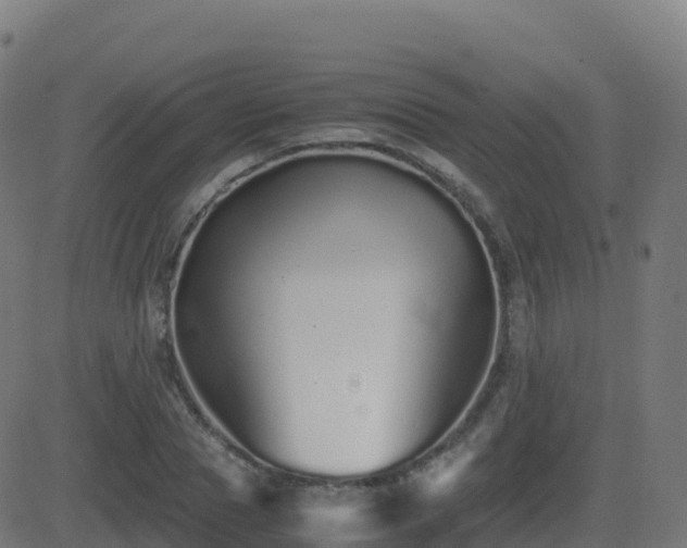 X0000081490929200701121506