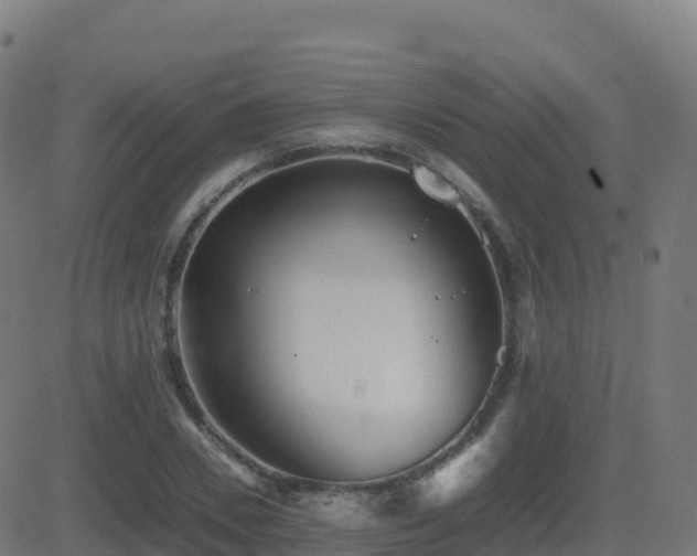 X0000081490930200701121506