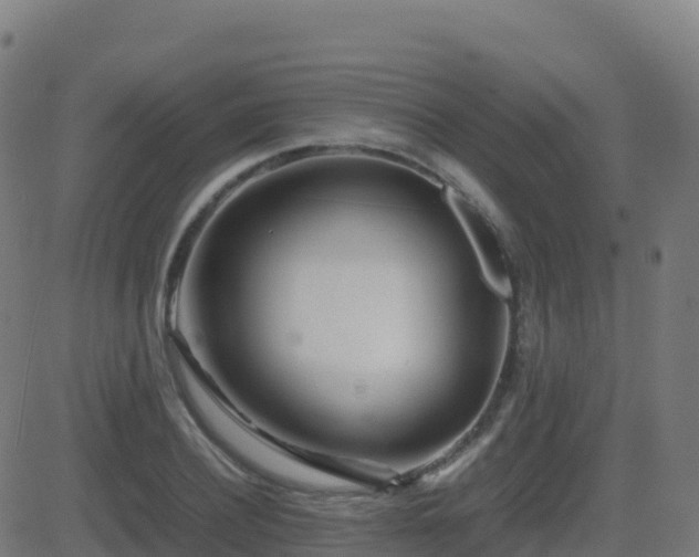 X0000081490932200701121506