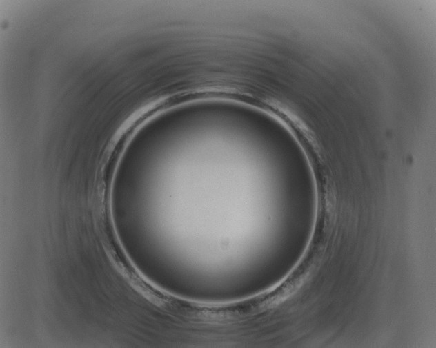 X0000081490933200701121506