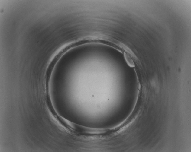 X0000081490934200701121506