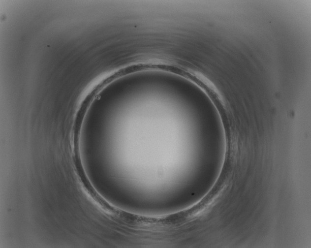 X0000081490935200701121506