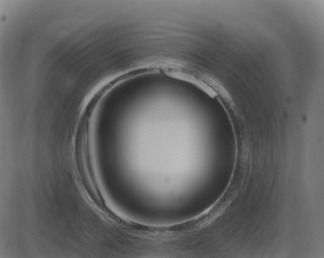 X0000081490936200701121506