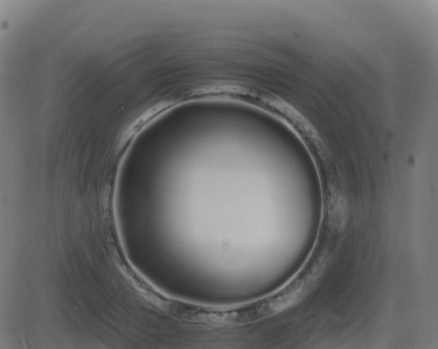 X0000081490937200701121506