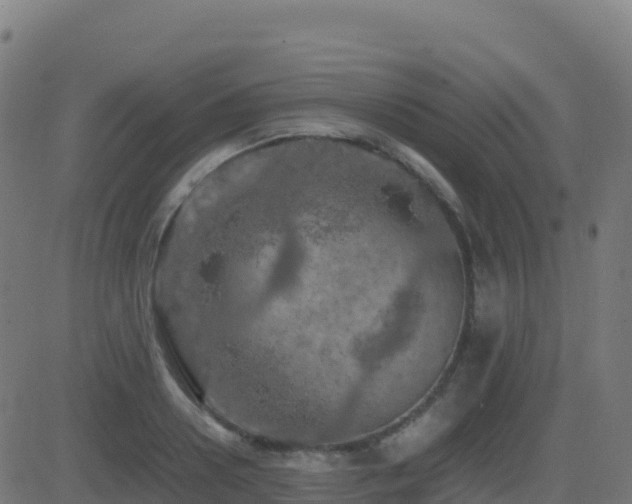 X0000081490938200701121506