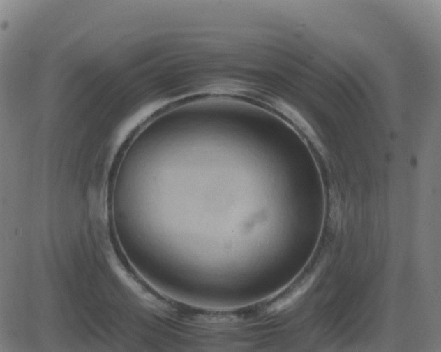 X0000081490939200701121506