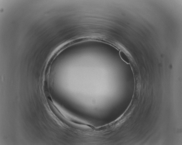 X0000081490940200701121506