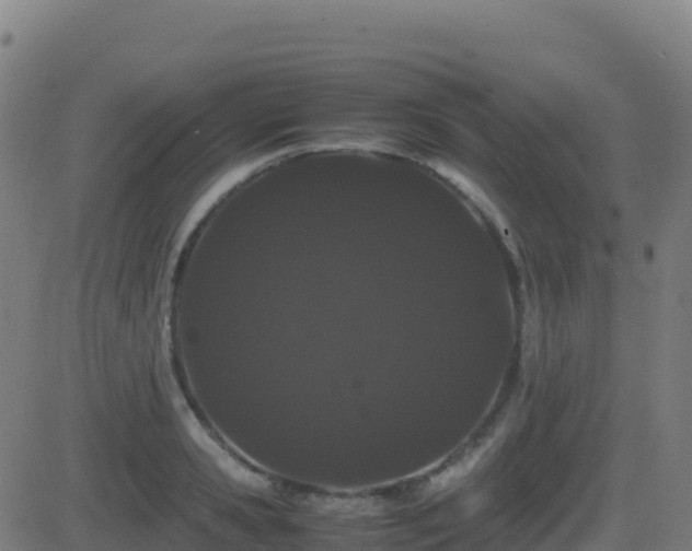 X0000081490941200701121506