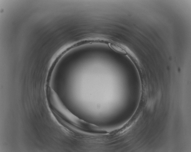 X0000081490943200701121506