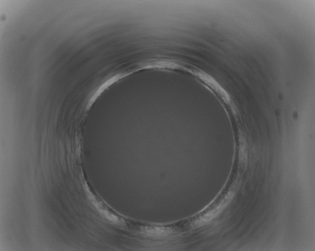 X0000081490945200701121506