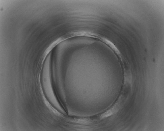 X0000081490946200701121506