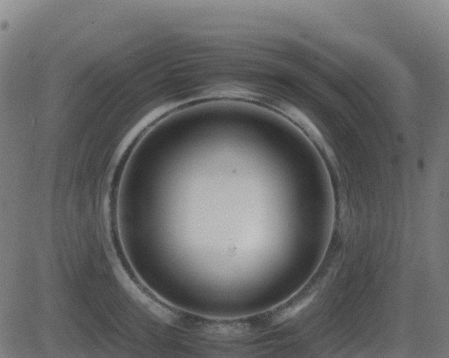 X0000081490947200701121506