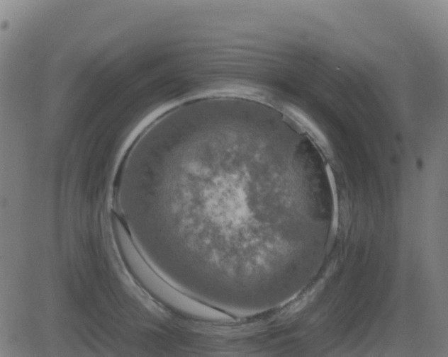 X0000081490948200701121506