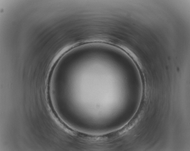 X0000081490949200701121506