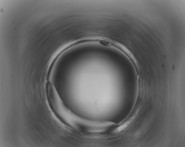 X0000081490951200701121506