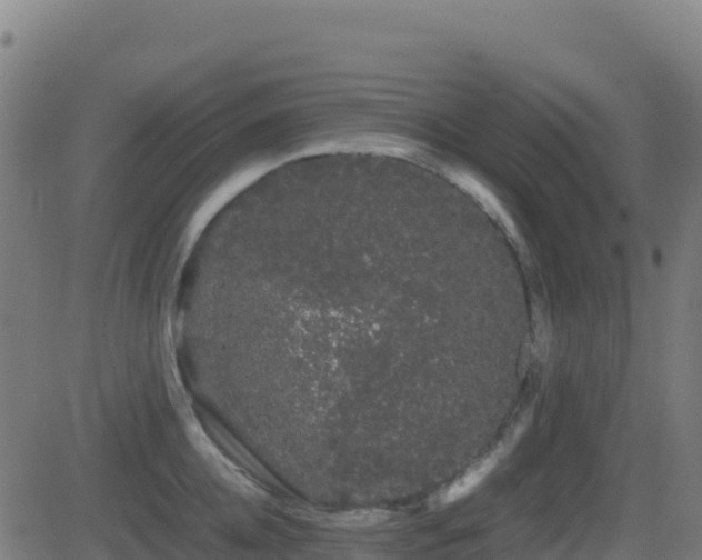 X0000081490952200701121507