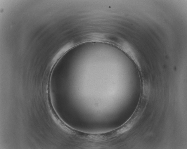 X0000081490954200701121507