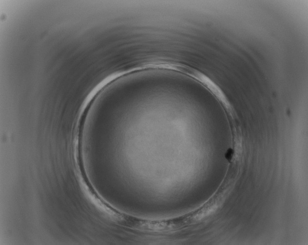 X0000081490955200701121507