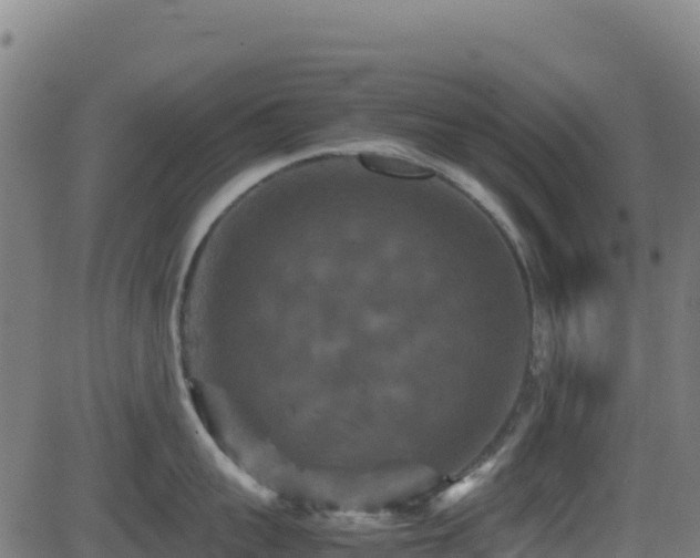 X0000081490959200701121507