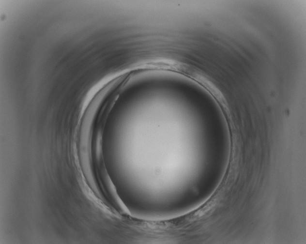 X0000081490960200701121507