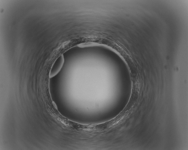 X0000081490961200701121506