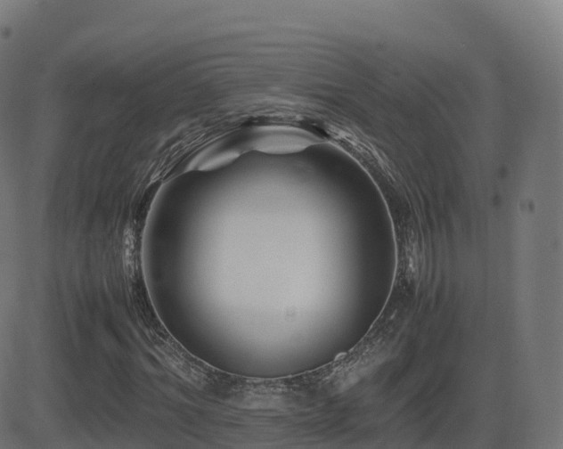 X0000081490964200701121506