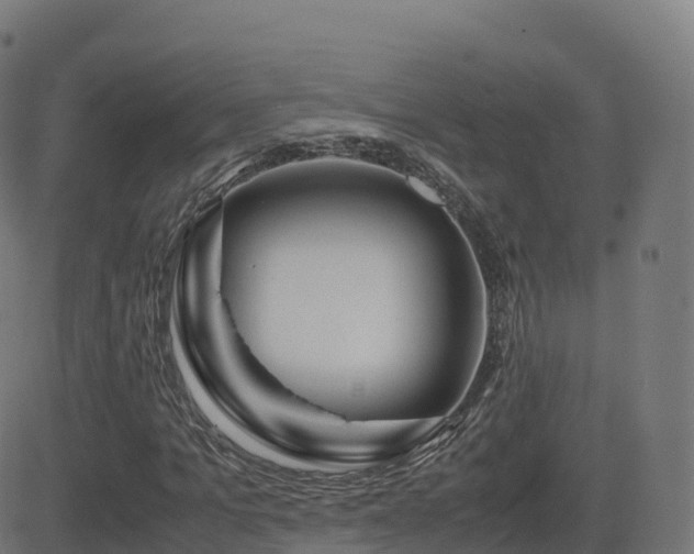 X0000081490965200701121506