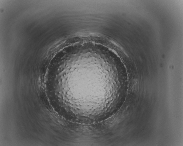 X0000081490966200701121506