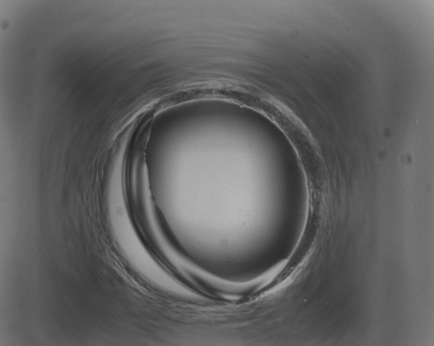 X0000081490969200701121506