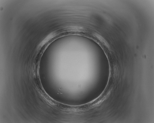 X0000081490970200701121506