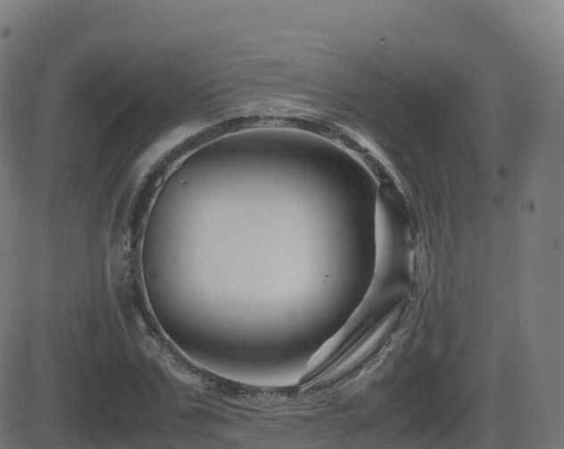 X0000081490971200701121506