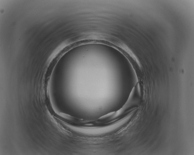 X0000081490972200701121506