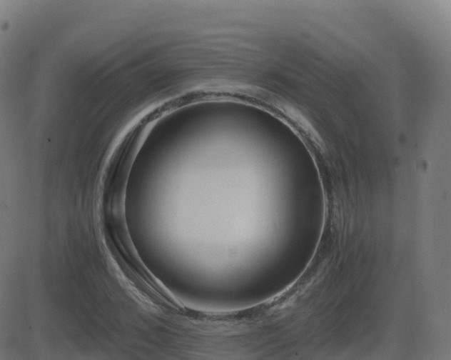 X0000081490976200701121506