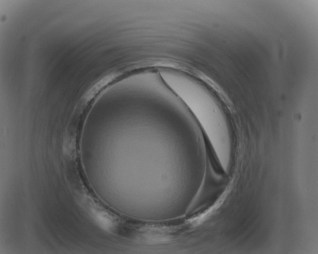 X0000081490977200701121506