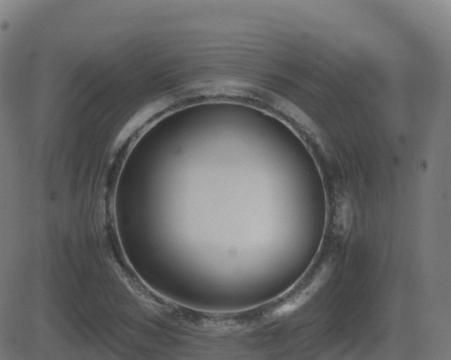 X0000081490978200701121506