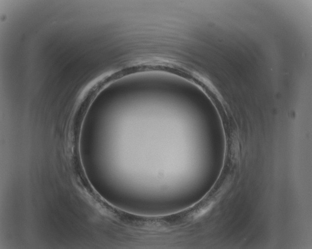 X0000081490979200701121506