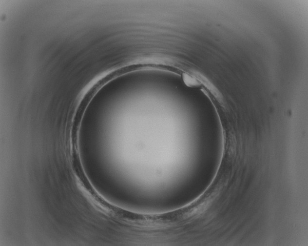 X0000081490980200701121506