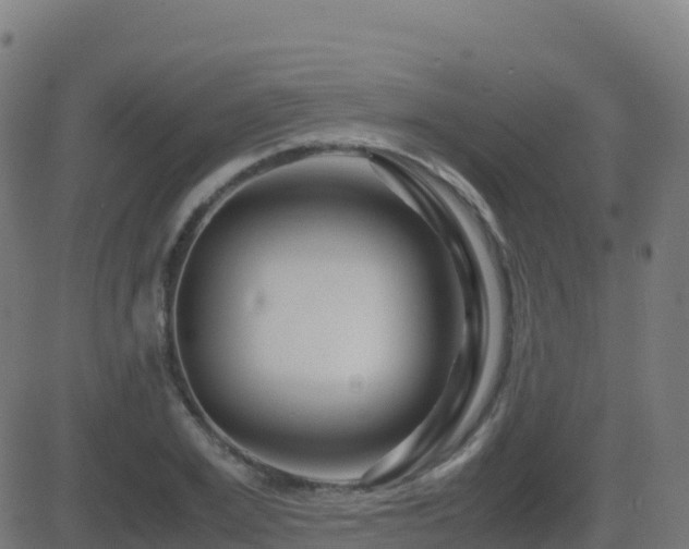 X0000081490981200701121506