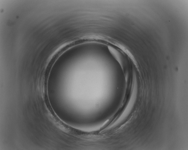 X0000081490984200701121505