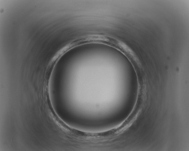 X0000081490985200701121505