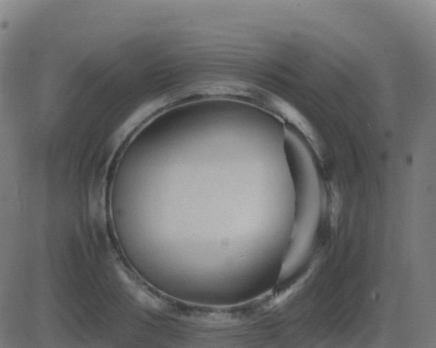 X0000081490986200701121505