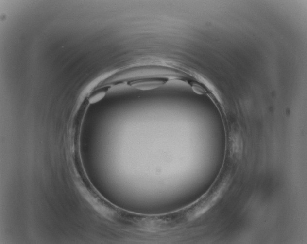 X0000081490987200701121505