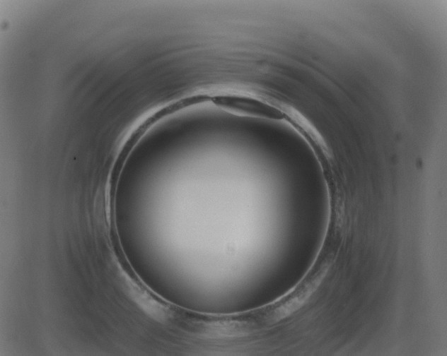 X0000081490988200701121505