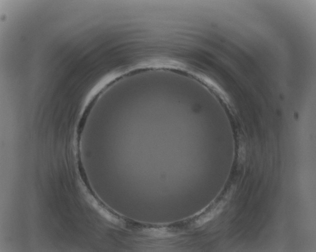 X0000081490990200701121505