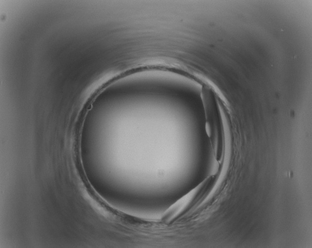 X0000081490991200701121505